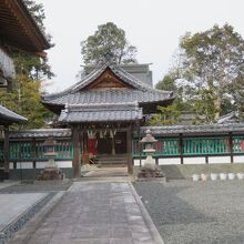 緑の壁って珍しいですね