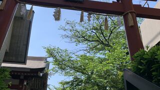 たくさんの参拝客