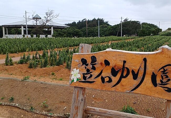 笠石海浜公園