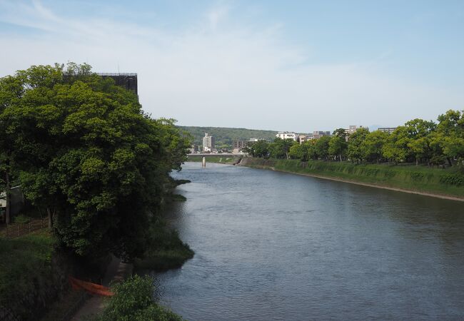 熊本市街地を流れている