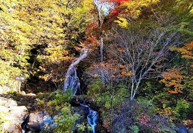 たて琴の滝