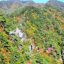 茶屋からの全景