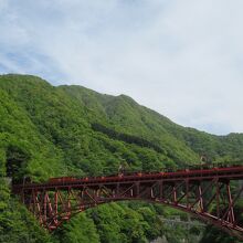 新緑とトロッコ列車