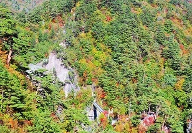 紅葉のモザイク！