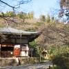 地蔵院(竹の寺)