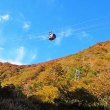 紅葉とロープウェイ