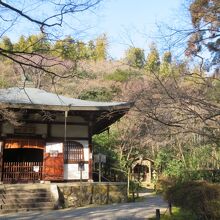 地蔵院(竹の寺)