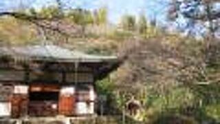 地蔵院(竹の寺)