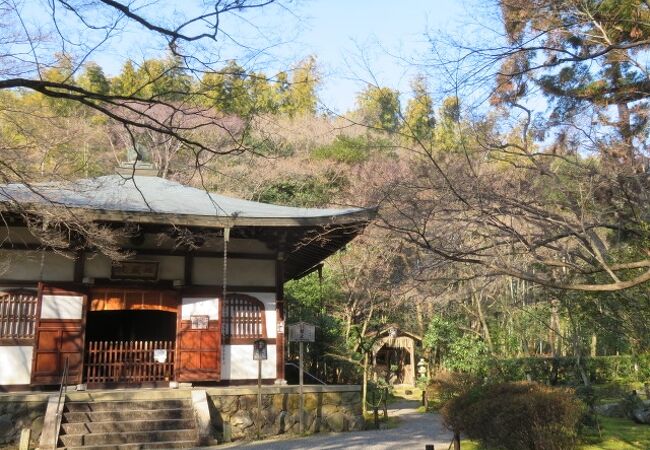 地蔵院(竹の寺)