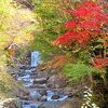 紅葉の絶景
