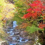 紅葉の絶景