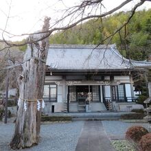 不思議な神木です