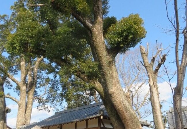 角宮神社