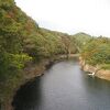 紅葉と桜の時期に