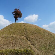 インスタ映えする古墳です