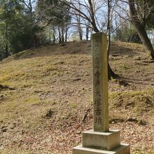 広々とした古墳です