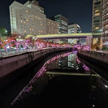 ピンクが川に映って綺麗