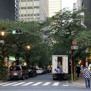 狭い路地に桜が並ぶ