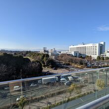 デッキから昭和記念公園が見える