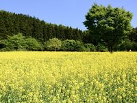 魚沼の里