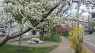 大通公園を模した公園