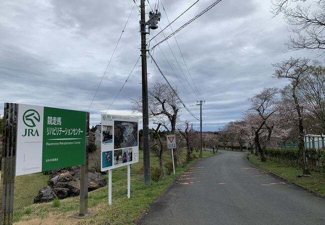 JRA 競走馬総合研究所 (常磐支所) クチコミ・アクセス・営業時間 JRA 競走馬総合研究所 (常磐支所) クチコミ・アクセス・営業時間