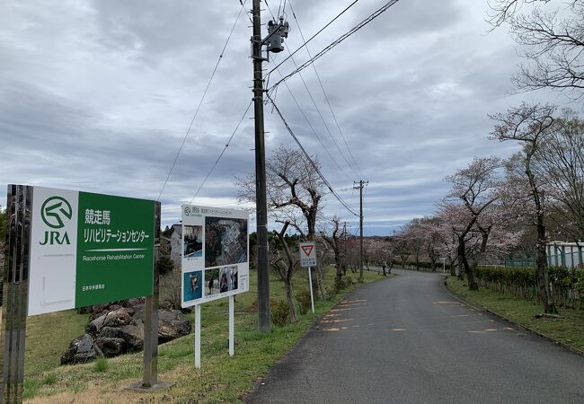 現役競走馬のリハビリテーションを専門とする日本で唯一の施設