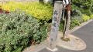 にぎやかな坂道でした