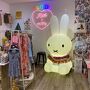 Kira x miffy
