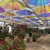 定番の花公園は3月も楽しい