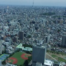 望遠鏡が欲しくなる東京スカイツリー方面の眺望