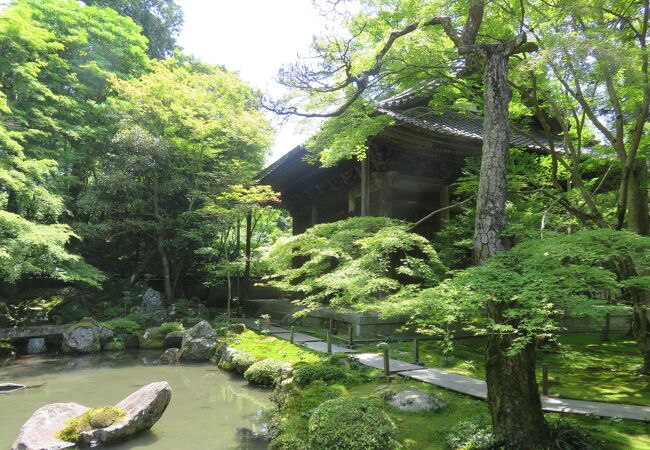 蓮華寺