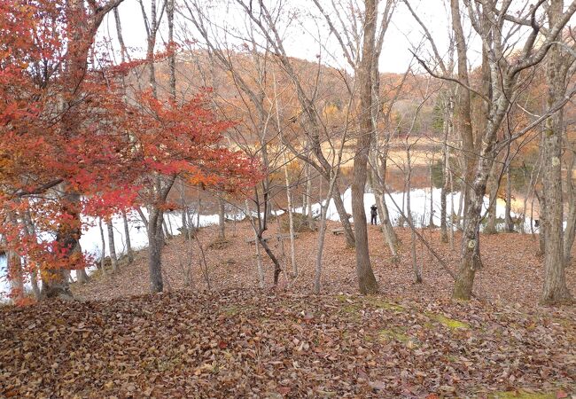 観音沼森林公園