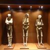 ミイラがたくさん展示されています。