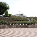 緑町公園