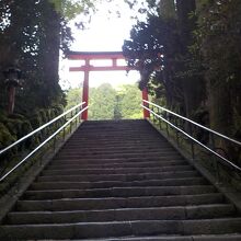 この階段を上がると拝殿があります。