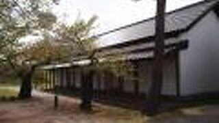 再生されたように見えました