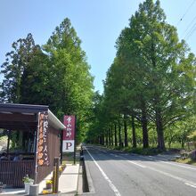 周辺には、数軒の飲食店がありました。