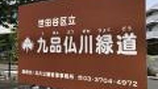 整備された緑道