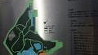 都会にこんな緑豊富な公園があるとは