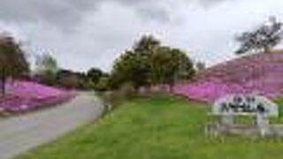 津別町２１世紀の森