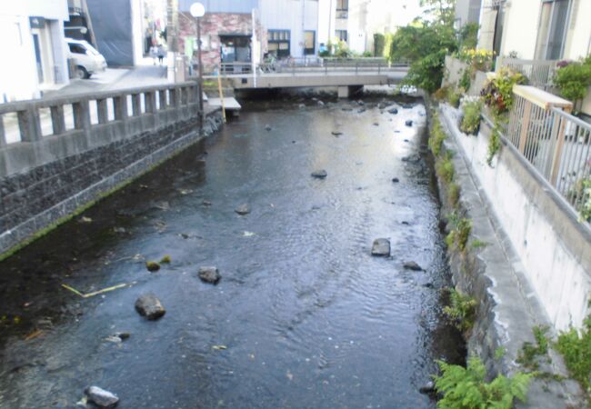 蓮沼川