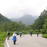 奥胎内ヒュッテ主催の探鳥会風景