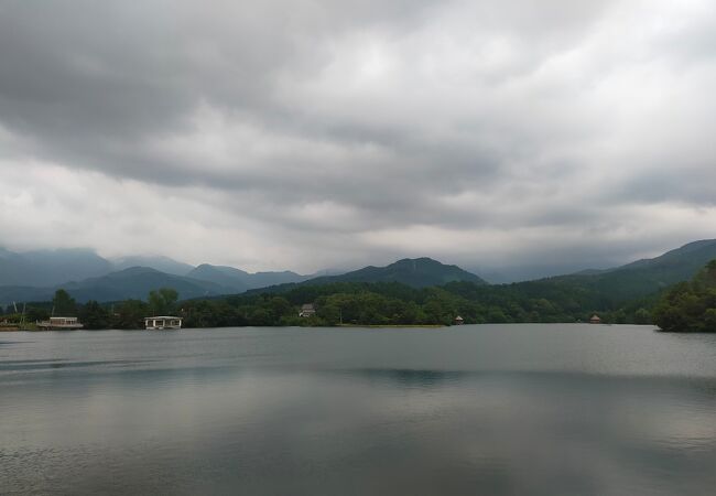 桜ケ池公園