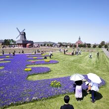 かみゆうべつチューリップ公園