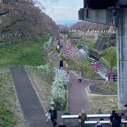 すごく立派な橋で船岡城址公園へと続く