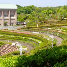 桃田運動公園