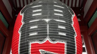 思っていたより大きかった