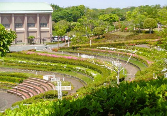 桃田運動公園