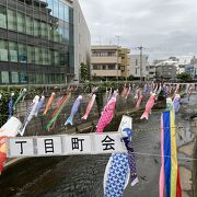 高田馬場付近では鯉のぼりが泳いでいました